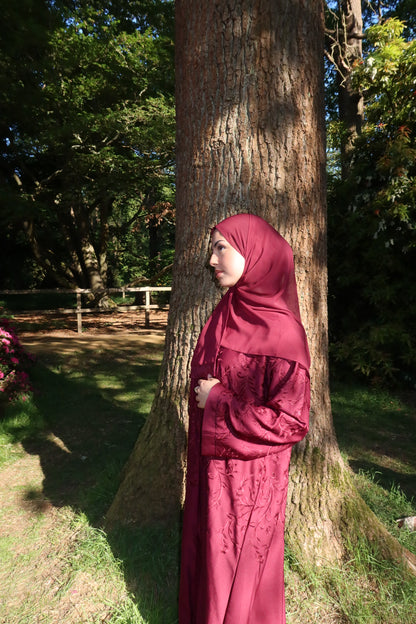 Anaaqa embroidery buttoned abaya